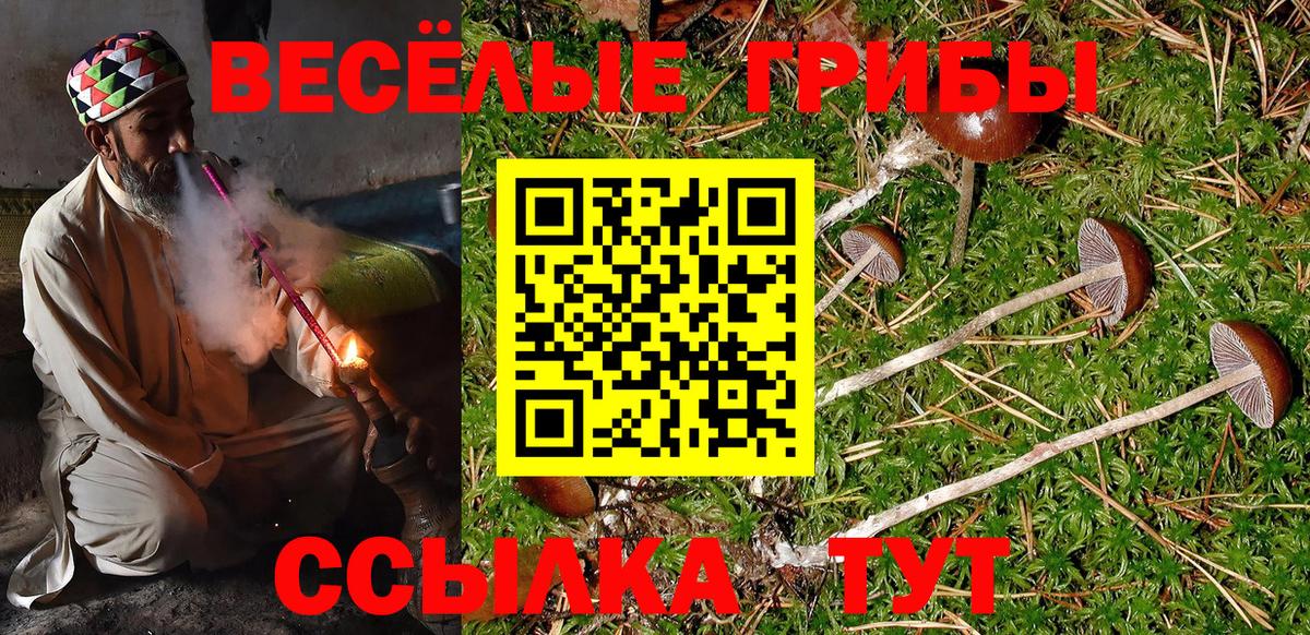 цена   Вход с VPN  Ачхой-Мартан  Галлюциногенные грибы Psilocybine cubensis 